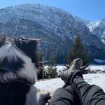 Ersteller:in Cary Profilbild