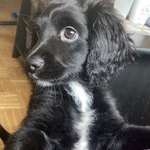 Ersteller:in Maja Profilbild