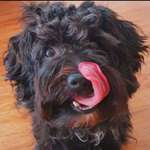 Ersteller:in Chrizy Profilbild