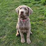 Ersteller:in Julia Profilbild