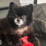 Kahle Stellen-Beitrag-Bild