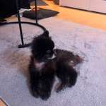 Kahle Stellen-Beitrag-Bild