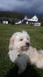 😊👍-Beitrag-Bild