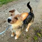 Ersteller:in Lilly Profilbild