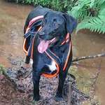 Ersteller:in Nadja Profilbild