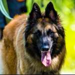 Ersteller:in Nicole Profilbild