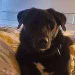 Ersteller:in Britta Profilbild