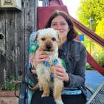 Ersteller:in Marina Profilbild