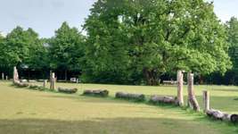 Hundeauslaufgebiet-Parkplatz Grün-Bild