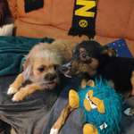 Ersteller:in Sebastian Profilbild