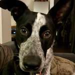 Ersteller:in Jennifer Profilbild