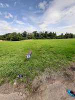 Hundeauslaufgebiet-Schallstadt-Bild