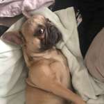 Ersteller:in Cleo Profilbild