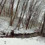 Ersteller:in Valeria Profilbild