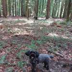 Ersteller:in Thomas Profilbild