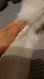 Winzige Krusten auf der Haut-Beitrag-Bild