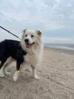 Viel trinken und in die Wohnung machen-Beitrag-Bild