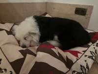 Viel trinken und in die Wohnung machen-Beitrag-Bild