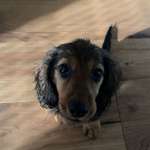 Ersteller:in Luise Profilbild