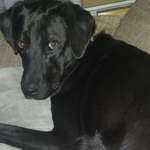 Ersteller:in Marcel Profilbild