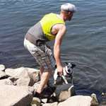 Ersteller:in Daniel Profilbild