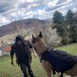 Ersteller:in Julius Profilbild