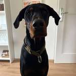 Ersteller:in Pauline Profilbild