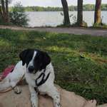 Ersteller:in Janine Profilbild