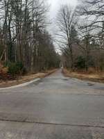 Hundeauslaufgebiet-Perlacher Forst-Bild