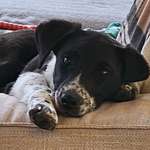 Ersteller:in Sabine Profilbild