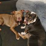 Ersteller:in Pia Profilbild