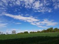 Hundeauslaufgebiet-Nikolausberg-Bild