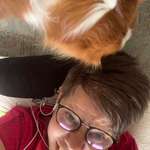 Ersteller:in Felicitas Profilbild