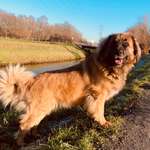 Ersteller:in Anne Profilbild