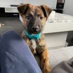 Ersteller:in Vanessa Profilbild