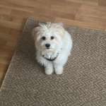 Ersteller:in Aylin Profilbild