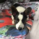 Ersteller:in Katrin Profilbild