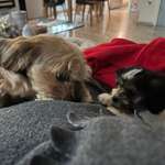 Ersteller:in Elke Profilbild