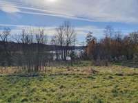 Hundeauslaufgebiet-Möhnesee (Hundestrand)-Bild