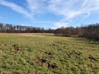 Hundeauslaufgebiet-Möhnesee (Hundestrand)-Bild