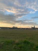 Hundeauslaufgebiet-Theresienwiese-Bild