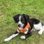 Ersteller:in Torsten Profilbild