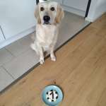 Ersteller:in Katharina Profilbild