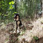 Ersteller:in Kathi Profilbild