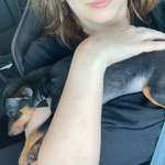 Ersteller:in Maja Profilbild