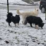 Ersteller:in Aylene Profilbild