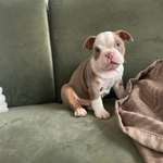 Ersteller:in Valentin Profilbild