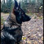 Ersteller:in Kaleidoskop Profilbild