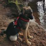 Ersteller:in Melanie Profilbild