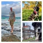 Ersteller:in Thomas Profilbild